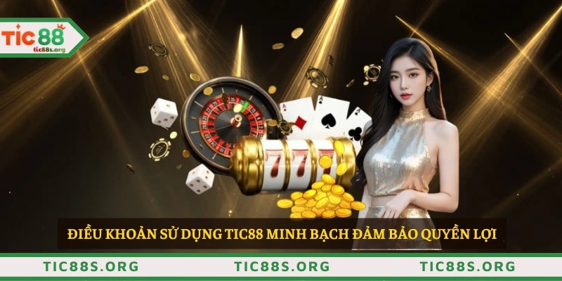 Điều khoản sử dụng TIC88 minh bạch đảm bảo quyền lợi