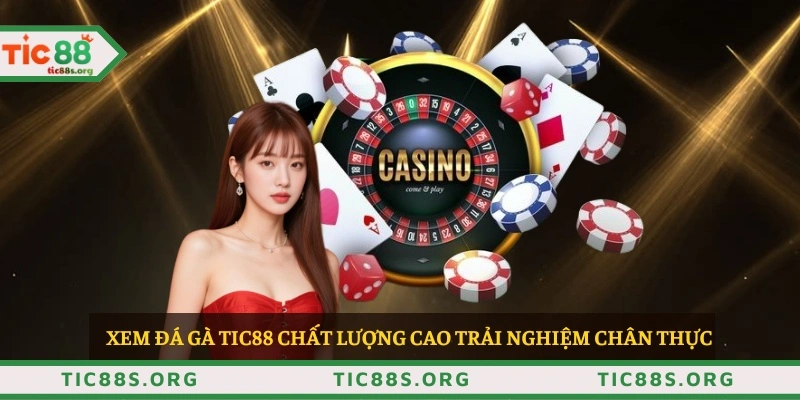 Xem đá gà TIC88 chất lượng cao trải nghiệm chân thực 